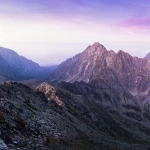 Terasa cu Ancore – Primul restaurant pescăresc și muzeu marin din România Terasa cu Ancore – Primul restaurant pescăresc și muzeu marin din România